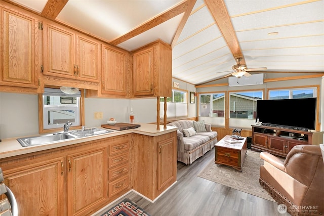 316 W Lake Samish Dr, Bellingham, WA 98229 - kitchen with open floor plan, a sink, light wood-style flooring, a ceiling fan, and light countertops