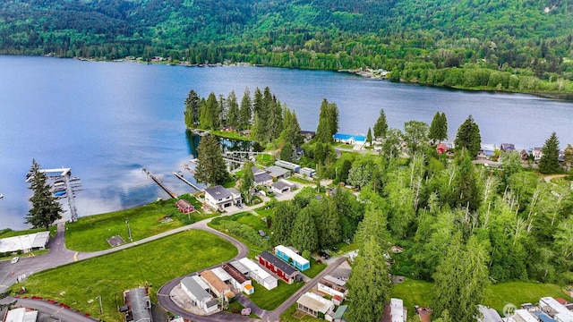 316 W Lake Samish Dr, Bellingham, WA 98229 - aerial overview of property's location featuring a heavily wooded area and a large body of water
