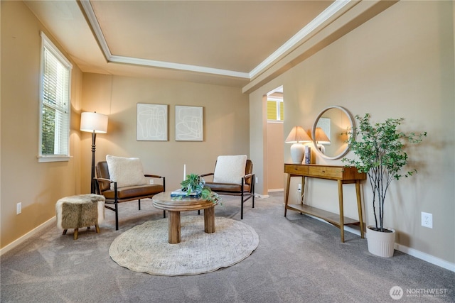 3212 Maplewood Cir NE, Tacoma, WA 98422 - sitting room with carpet, a raised ceiling, and crown molding