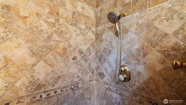bathroom view of tiled shower