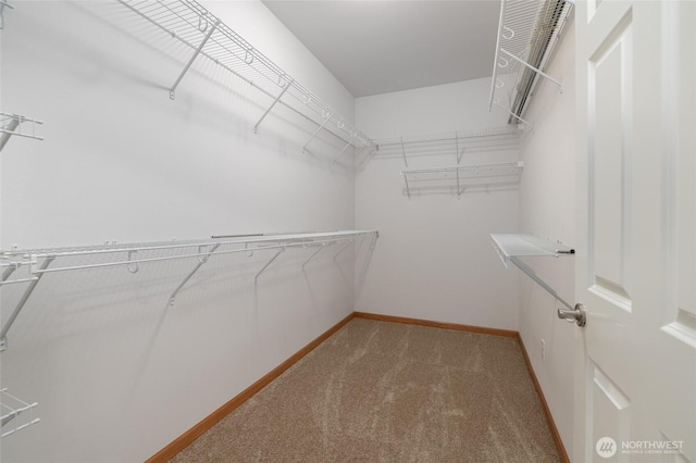 997 Chestnut Loop, Mount Vernon, WA 98273 - walk in closet featuring carpet floors
