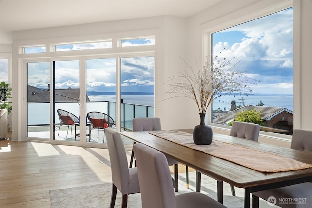 919 Cedar St, Edmonds, WA 98020 - dining room featuring light wood-style floors and plenty of natural light