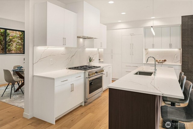 290 118th Ave SE, Bellevue, WA 98005 - kitchen with high end stainless steel range oven, a sink, light wood-style floors, tasteful backsplash, and recessed lighting