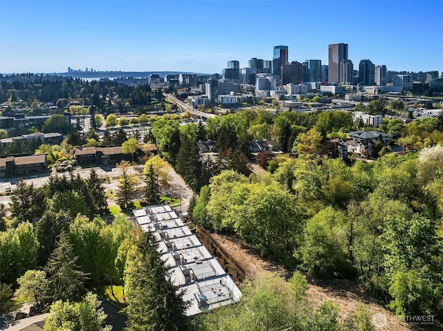 290 118th Ave SE, Bellevue, WA 98005 - bird's eye view of skyline