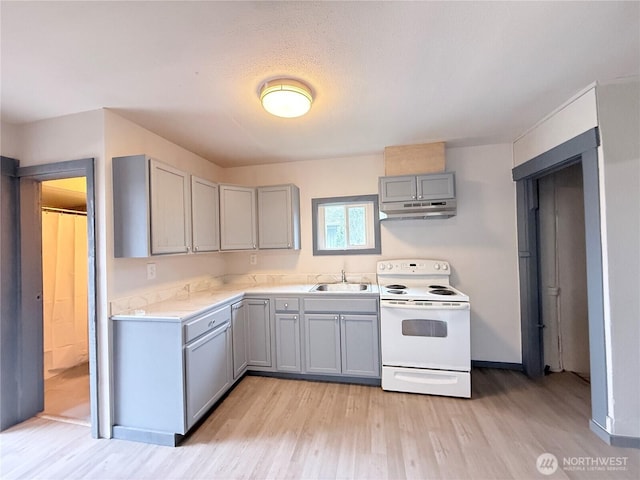 328 S Division St, Auburn, WA 98001 - kitchen featuring white electric range, gray cabinets, under cabinet range hood, and light wood-type flooring