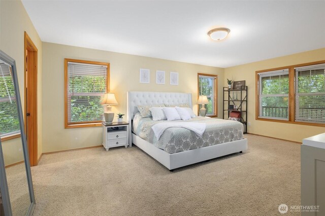 bedroom with multiple windows, carpet, and baseboards