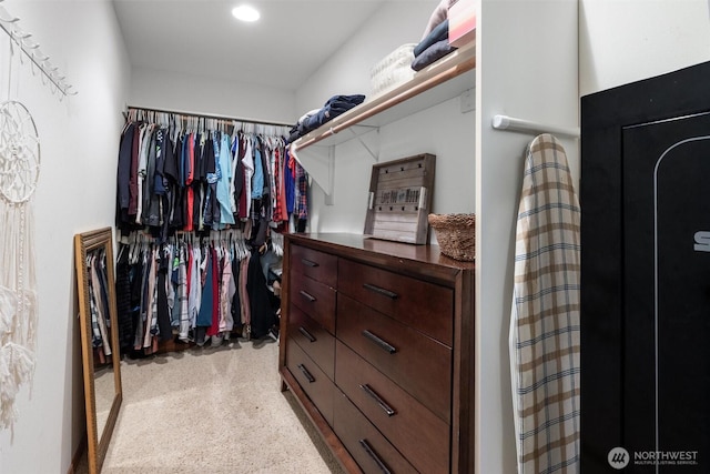 view of walk in closet