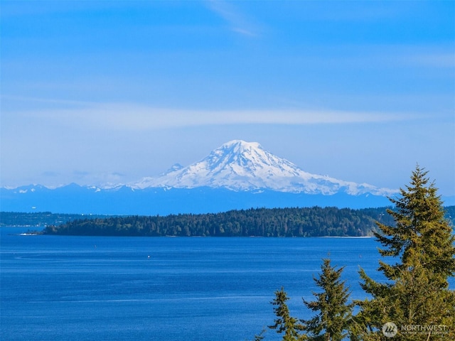 6715 NE Dapple Ct, Bainbridge Island, WA 98110 - water view with a mountain backdrop and a forest