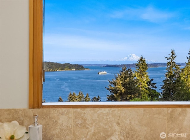 6715 NE Dapple Ct, Bainbridge Island, WA 98110 - water view with a mountainous background