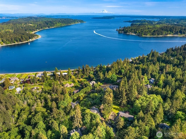 6715 NE Dapple Ct, Bainbridge Island, WA 98110 - aerial view of property's location with a forest and a large body of water