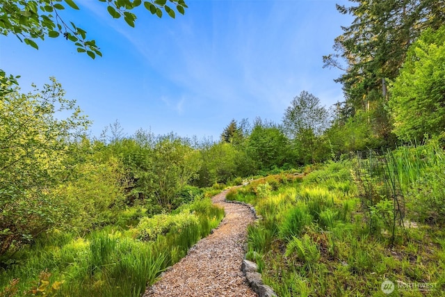 6715 NE Dapple Ct, Bainbridge Island, WA 98110 - view of property's community featuring a wooded view