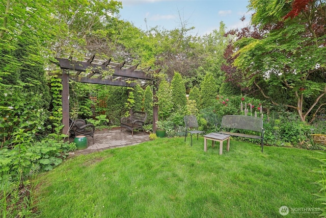 16255 38th Ave NE, Lake Forest Park, WA 98155 - view of grassy yard featuring a pergola and a patio area