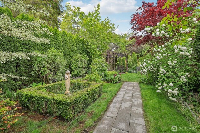 16255 38th Ave NE, Lake Forest Park, WA 98155 - view of yard