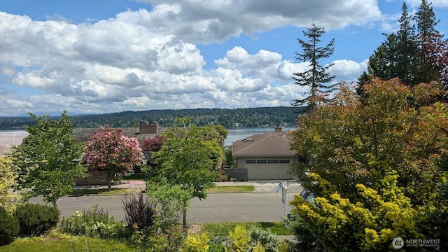 16255 38th Ave NE, Lake Forest Park, WA 98155 - water view