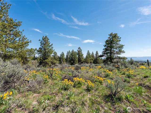 202 Chipmunk Trail Rd, East Wenatchee, WA 98802 - view of local wilderness