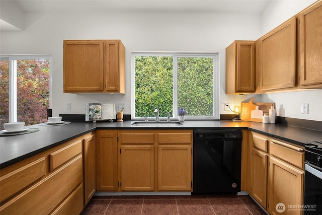 7725 Perregrine Pl, Arlington, WA 98223 - kitchen with dishwasher, a sink, and dark countertops