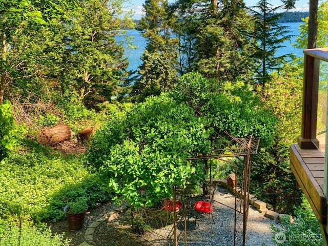 15127 Gibralter Rd, Anacortes, WA 98221 - view of yard featuring a water view