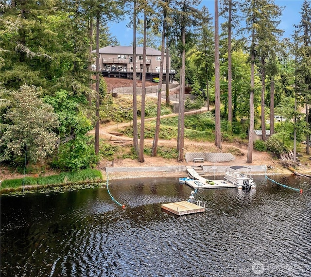 dock with a water view