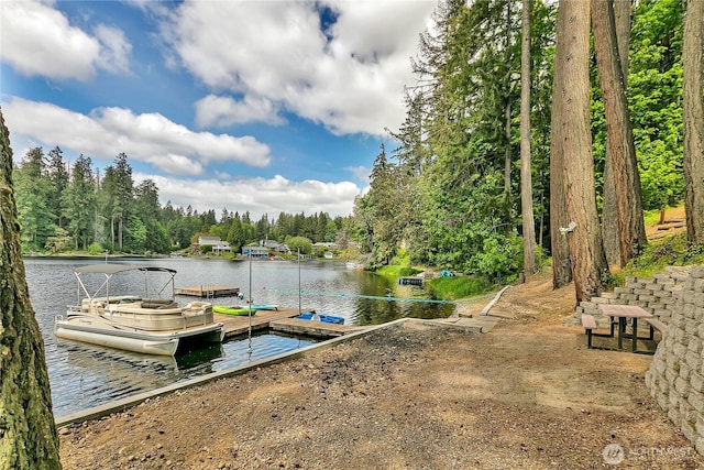dock area with a water view