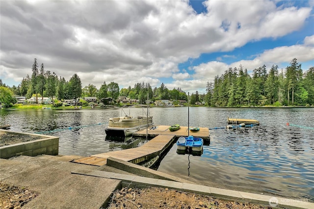 dock area with a water view