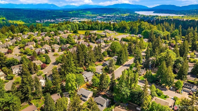 aerial perspective of suburban area with a mountain backdrop and a forest