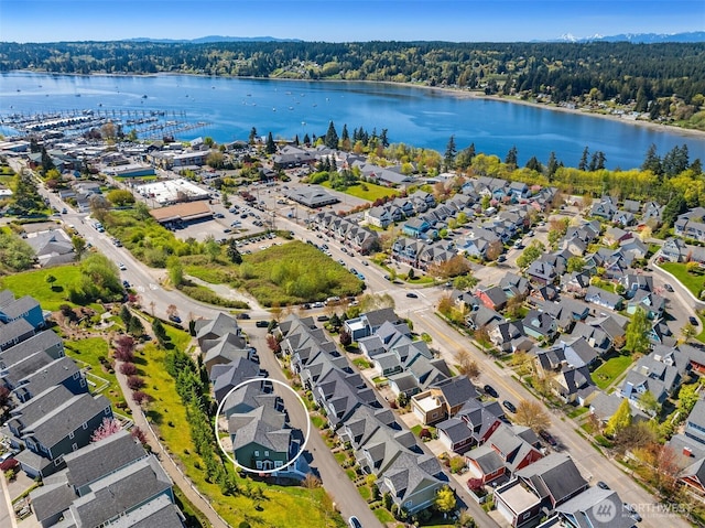 aerial view of residential area with a heavily wooded area and a large body of water