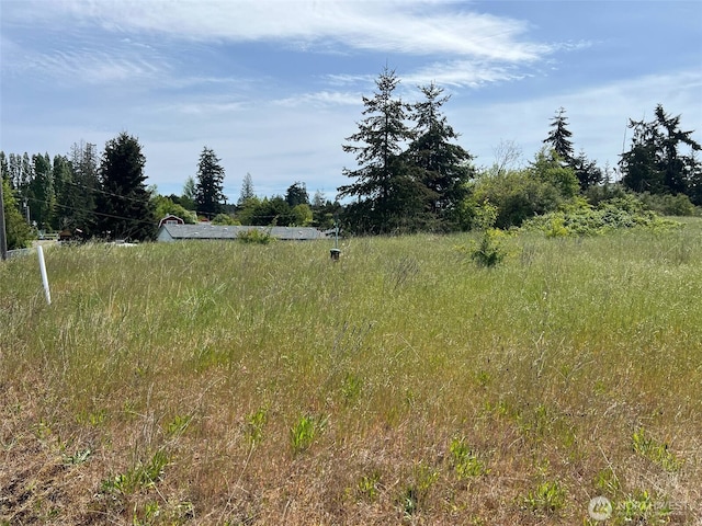 234 Mill Rd, Sequim, WA 98382 - view of yard