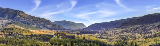7911 Oregon Trl, Maple Falls, WA 98266 - mountain view