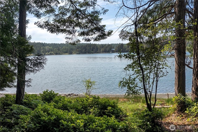 16 Driftwood Dr, Henry Island, WA 98250