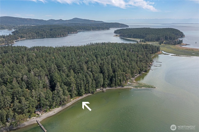 16 Driftwood Dr, Henry Island, WA 98250