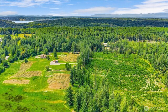 3009 174th Ave SW, Lakebay, WA 98349 - photo 4