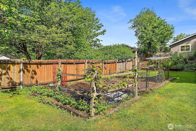 1812 5th St SE, Puyallup, WA 98372 - view of yard featuring a vegetable garden