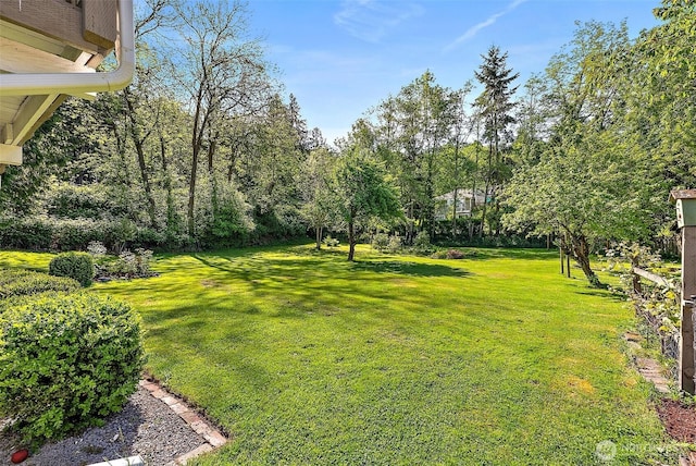 1812 5th St SE, Puyallup, WA 98372 - view of green lawn