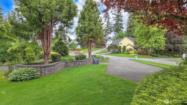 4017 239th Pl SE, Sammamish, WA 98029 - view of grassy yard