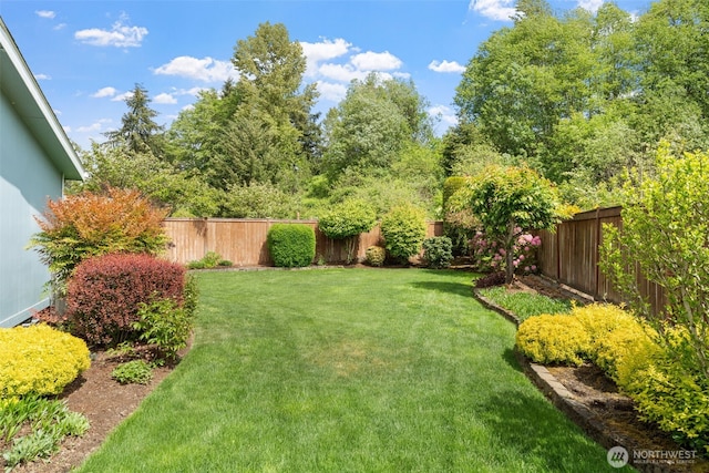 10016 197th St E Unit 88, Graham, WA 98338 - view of yard