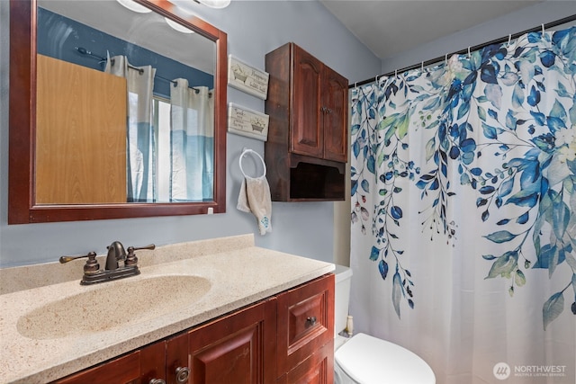 bathroom with vanity, toilet, and a shower with shower curtain