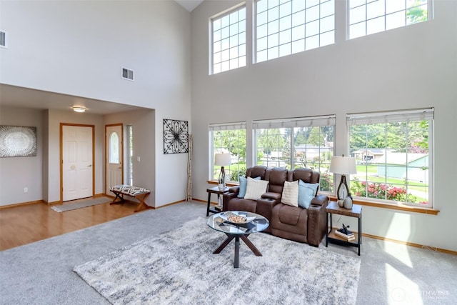 2507 Green Ct SW, Olympia, WA 98512 - living area with carpet flooring, a high ceiling, and baseboards
