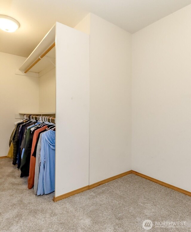 2507 Green Ct SW, Olympia, WA 98512 - walk in closet with carpet floors