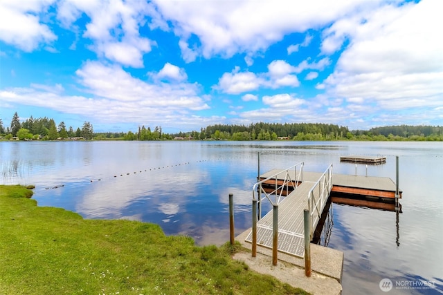 2507 Green Ct SW, Olympia, WA 98512 - dock with a water view