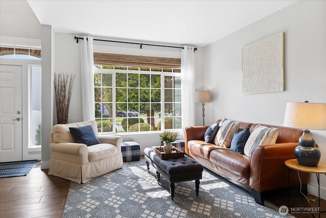 living area with wood-type flooring