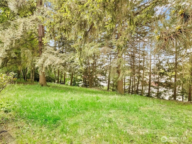 12120 A St S, Tacoma, WA 98444 - view of yard