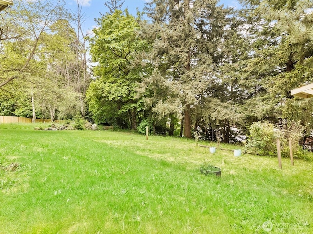 12120 A St S, Tacoma, WA 98444 - view of yard