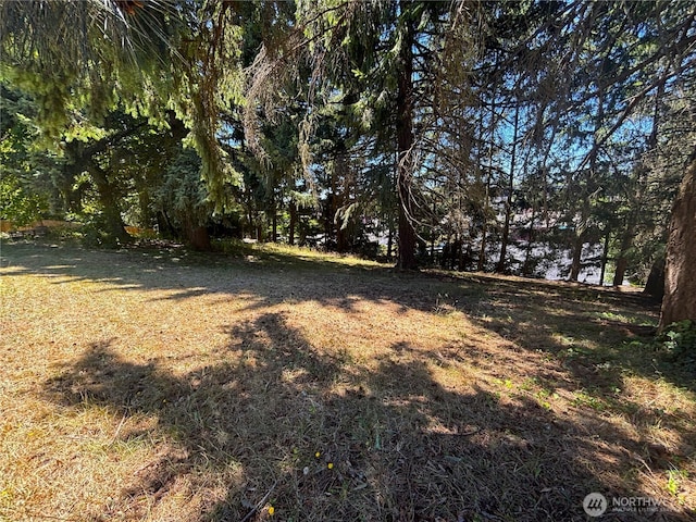 12120 A St S, Tacoma, WA 98444 - view of yard