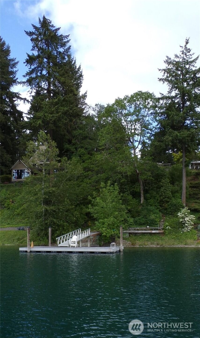 16 Loch Ln SW, Lakewood, WA 98499 - water view with a boat dock and a forest