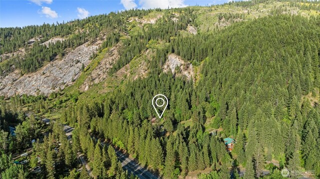 4265 US Highway 97, Peshastin, WA 98847 - photo 30