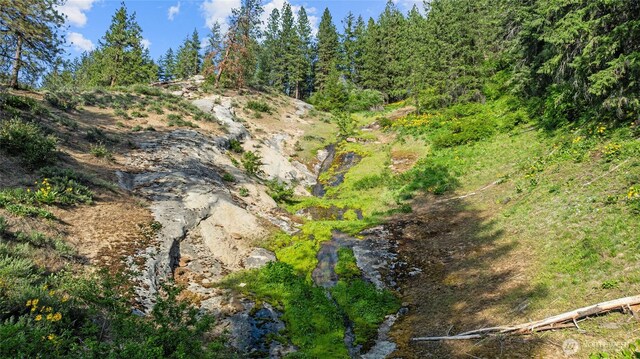 4265 US Highway 97, Peshastin, WA 98847 - photo 31