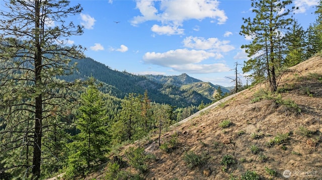 4265 US Highway 97, Peshastin, WA 98847 - photo 32