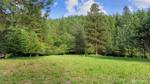 4265 US Highway 97, Peshastin, WA 98847 - photo 36