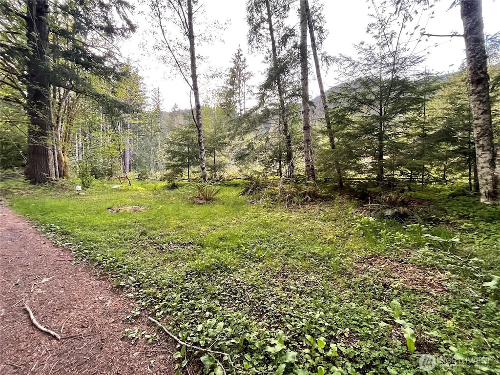 33823 State Route 706 Unit 4, Ashford, WA 98304
