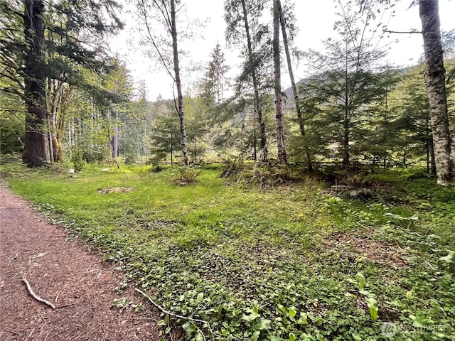 33823 State Route 706 Unit 4, Ashford, WA 98304